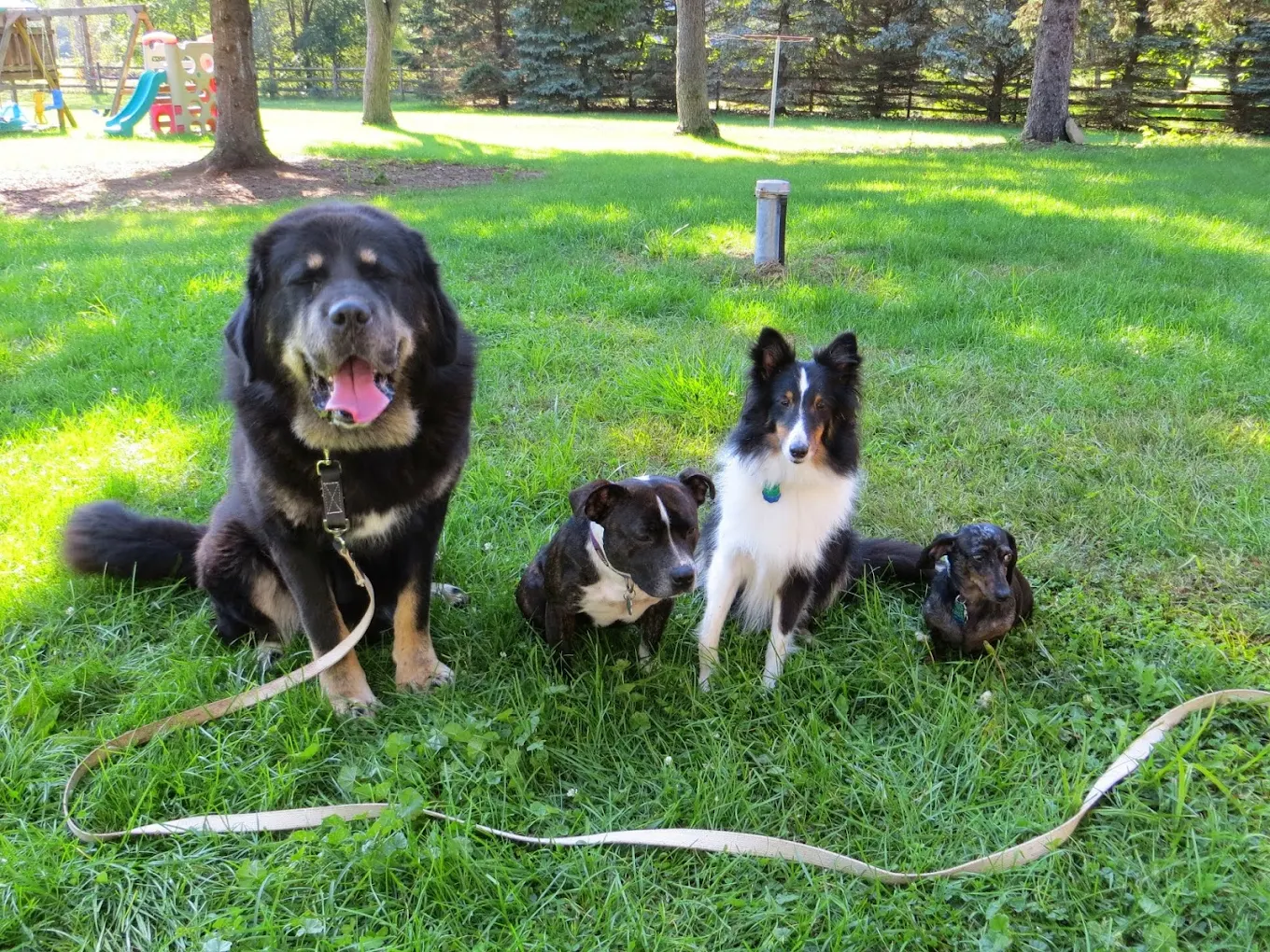 Kara's Critter Care